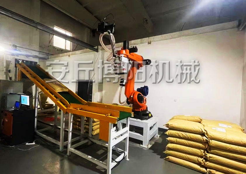 自動拆垛機(jī)器人