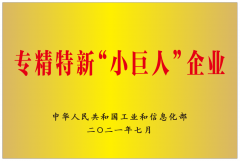 專精特新“小巨人”企業(yè)