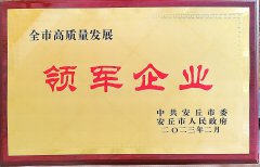 2023 全市高質量發(fā)展領軍企業(yè)